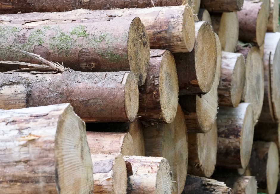 Timber Harvesting & Processing
